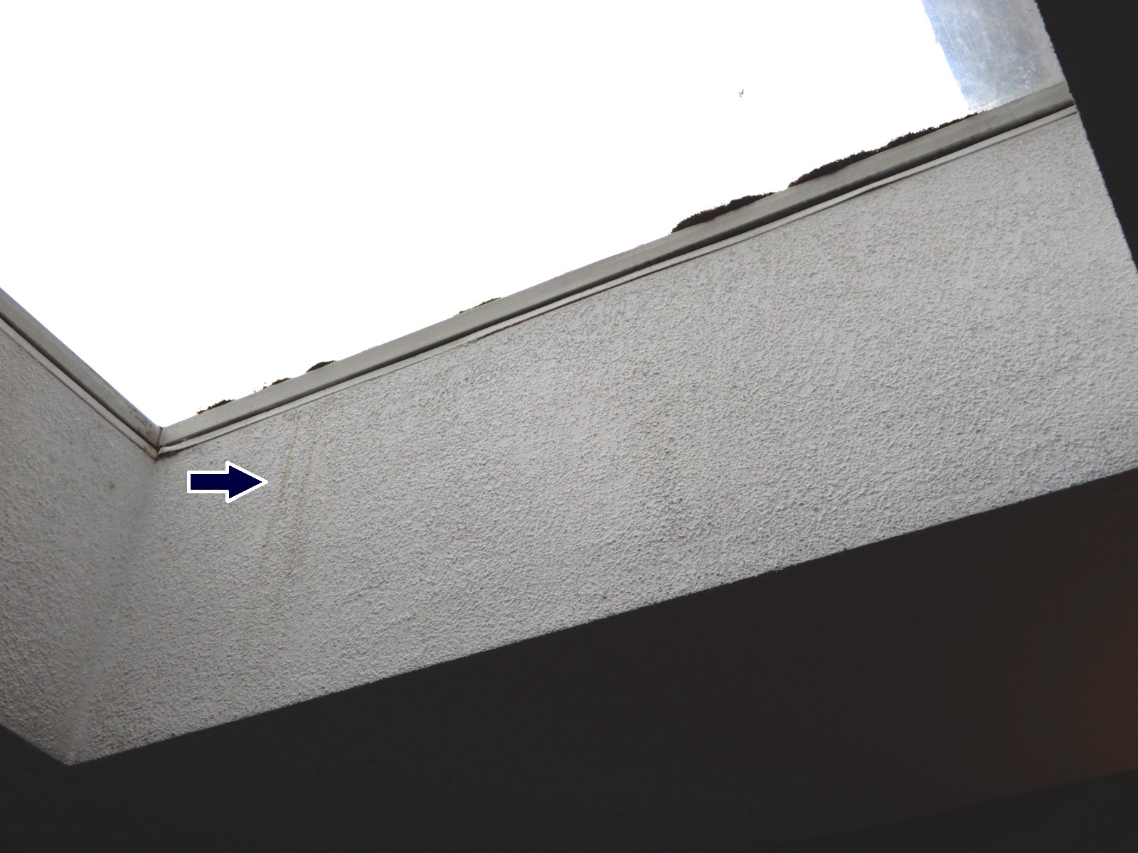 How Do You Know If Your Skylight is Leaking? Inspectology Home