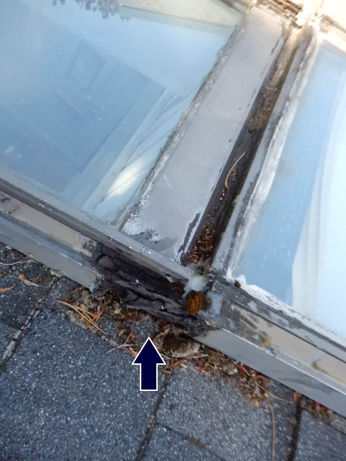 How Do You Know If Your Skylight is Leaking? Inspectology Home