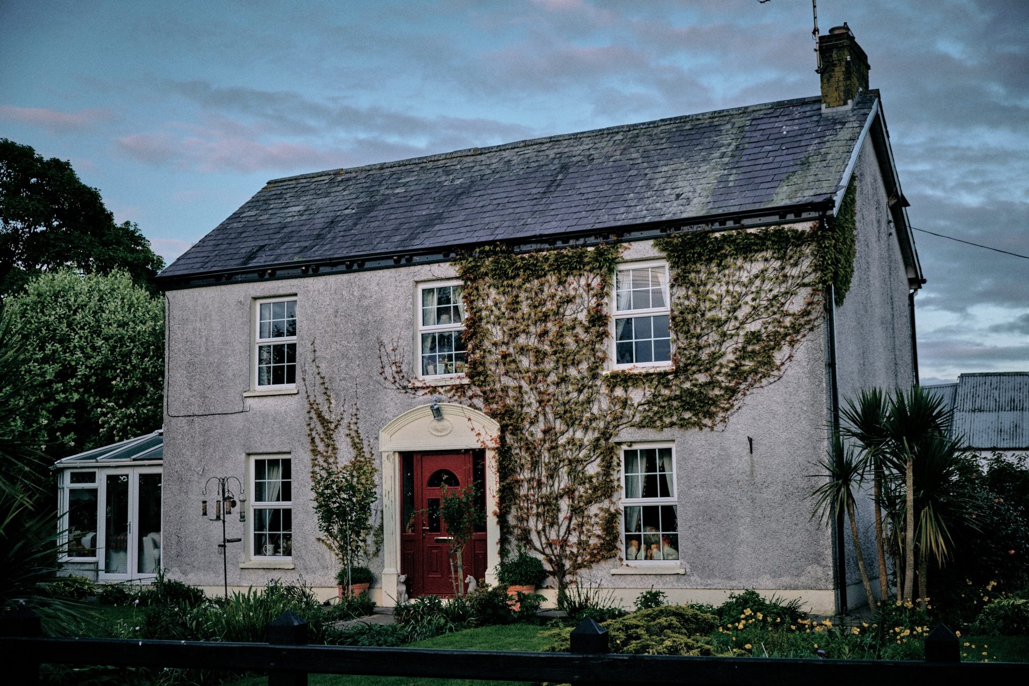 Do Climbing Vines Damage Exterior Walls? Inspectology Home Inspections